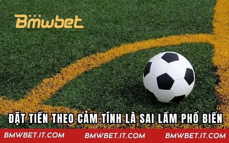 Đặt tiền theo cảm tính là sai lầm rất phổ biến trong thể thao