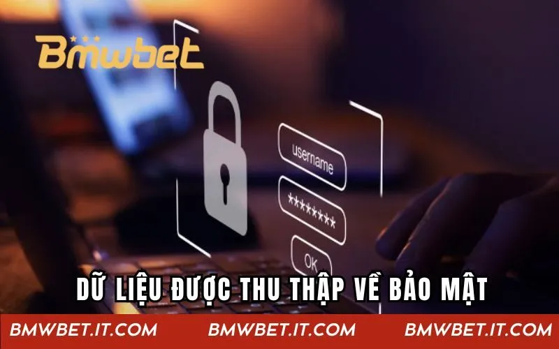 Những dữ liệu được thu thập trong chính sách bảo mật