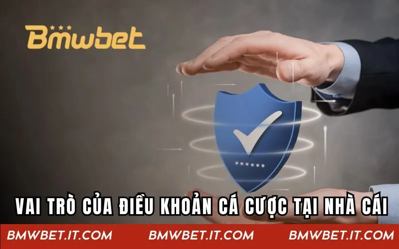 Vai trò của điều khoản cá cược tại nhà cái hiện nay